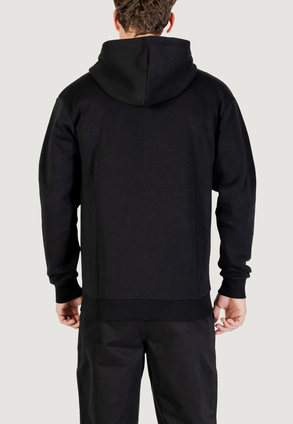Jack Jones JJEBRADLEY SWEAT ZIP HOOD NOOS