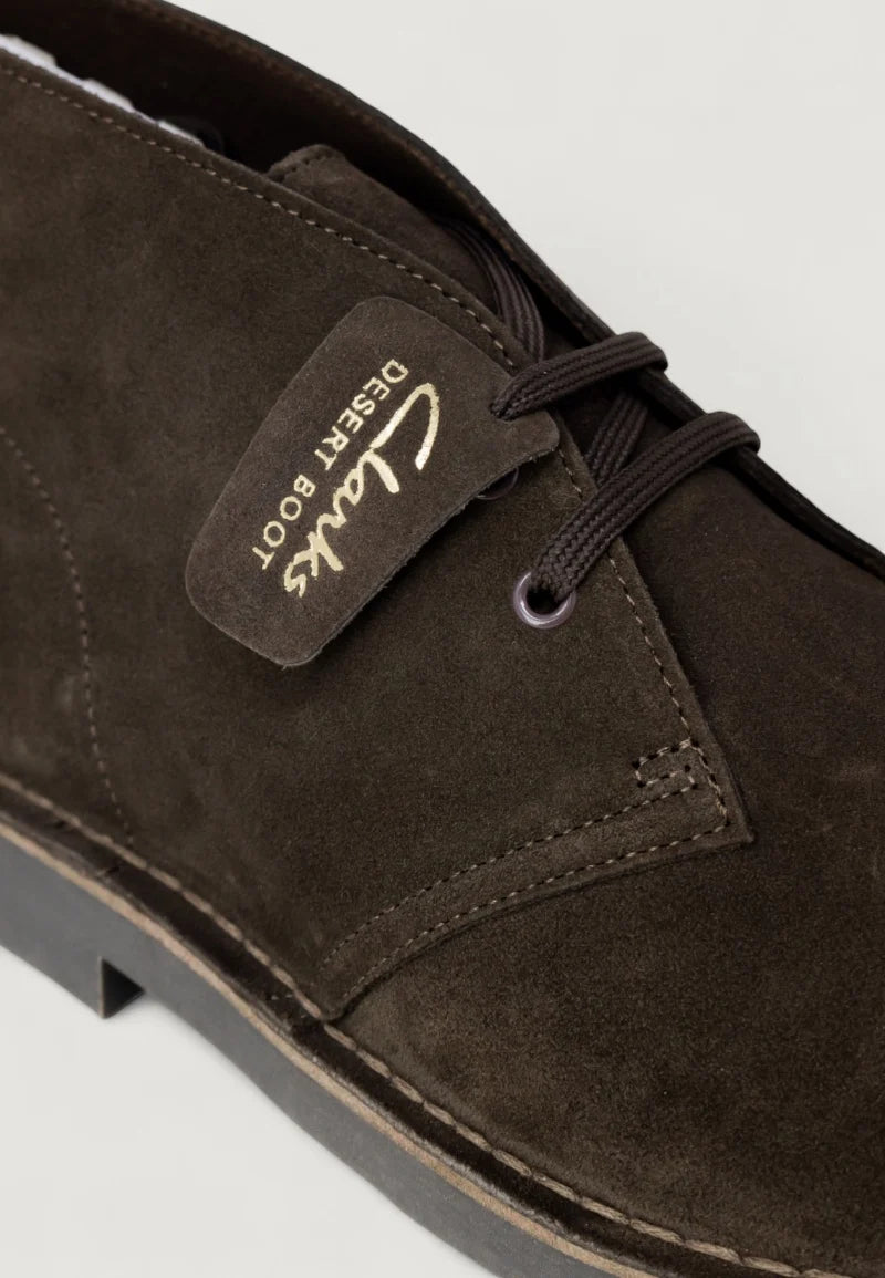 Clarks DESERT BT EVO brown